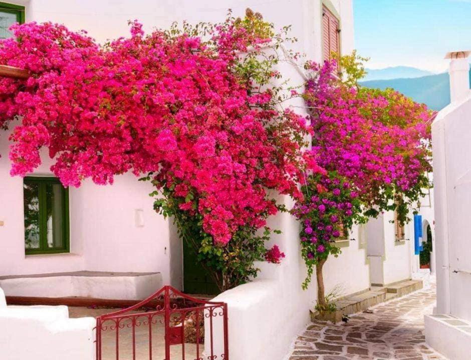 Nafpaktos Studio In Port Ιι Esterno foto